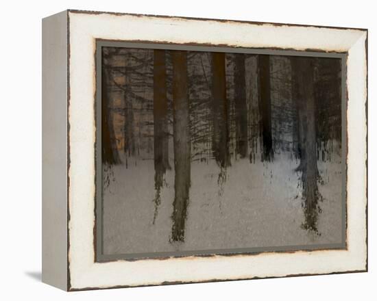 Winter Sunrise-Valda Bailey-Framed Premier Image Canvas