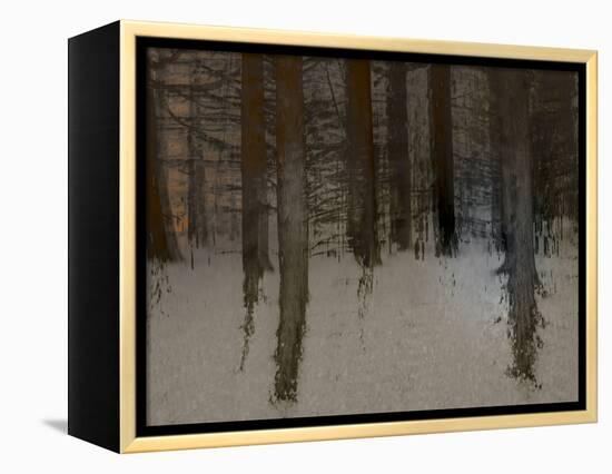 Winter Sunrise-Valda Bailey-Framed Premier Image Canvas