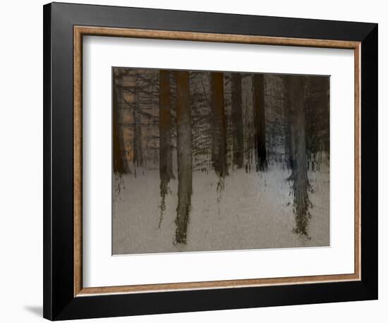 Winter Sunrise-Valda Bailey-Framed Photographic Print