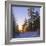 Winter Sunset in the Forest Near Oslo, Norway, Scandinavia, Europe-David Lomax-Framed Photographic Print