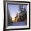 Winter Sunset in the Forest Near Oslo, Norway, Scandinavia, Europe-David Lomax-Framed Photographic Print