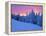 Winter Sunset, Mt Spokane State Park, Washington, USA-Charles Gurche-Framed Premier Image Canvas