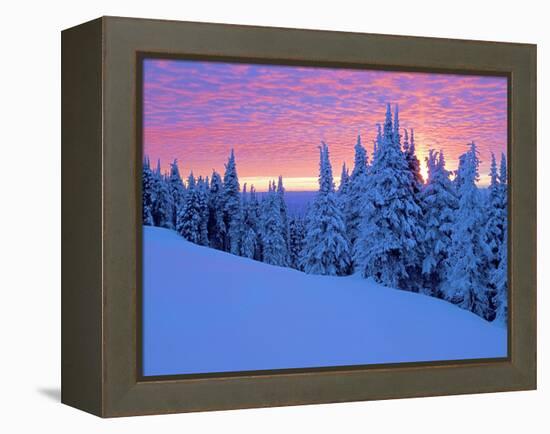 Winter Sunset, Mt Spokane State Park, Washington, USA-Charles Gurche-Framed Premier Image Canvas