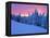 Winter Sunset, Mt Spokane State Park, Washington, USA-Charles Gurche-Framed Premier Image Canvas