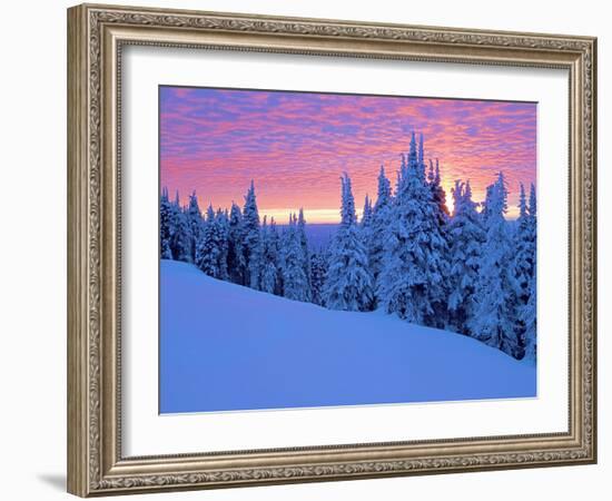 Winter Sunset, Mt Spokane State Park, Washington, USA-Charles Gurche-Framed Photographic Print