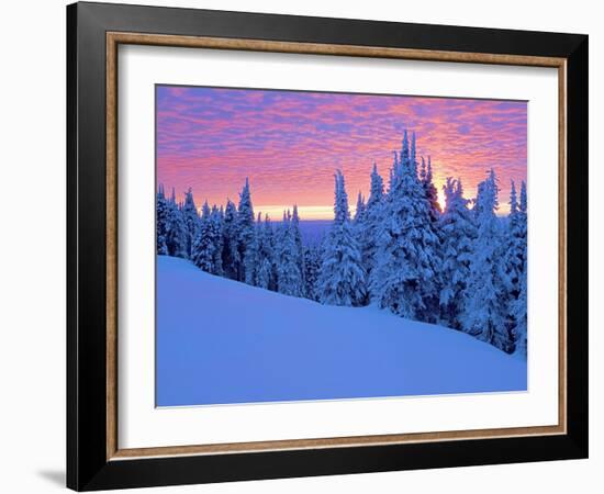 Winter Sunset, Mt Spokane State Park, Washington, USA-Charles Gurche-Framed Photographic Print