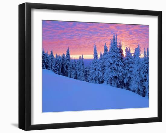 Winter Sunset, Mt Spokane State Park, Washington, USA-Charles Gurche-Framed Photographic Print