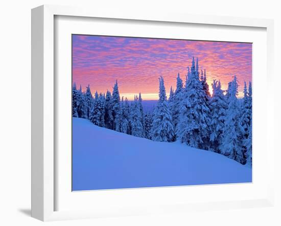 Winter Sunset, Mt Spokane State Park, Washington, USA-Charles Gurche-Framed Photographic Print