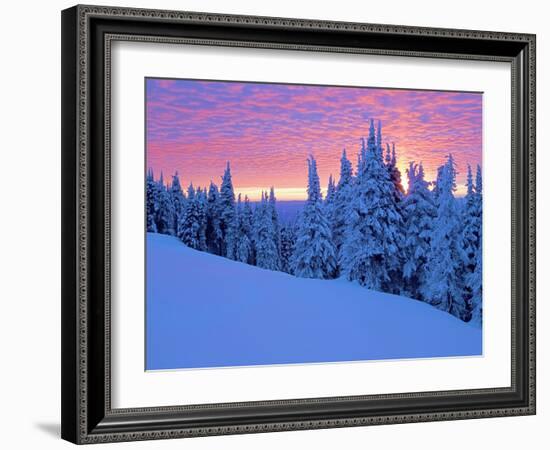 Winter Sunset, Mt Spokane State Park, Washington, USA-Charles Gurche-Framed Photographic Print