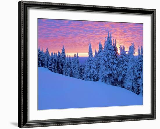 Winter Sunset, Mt Spokane State Park, Washington, USA-Charles Gurche-Framed Photographic Print