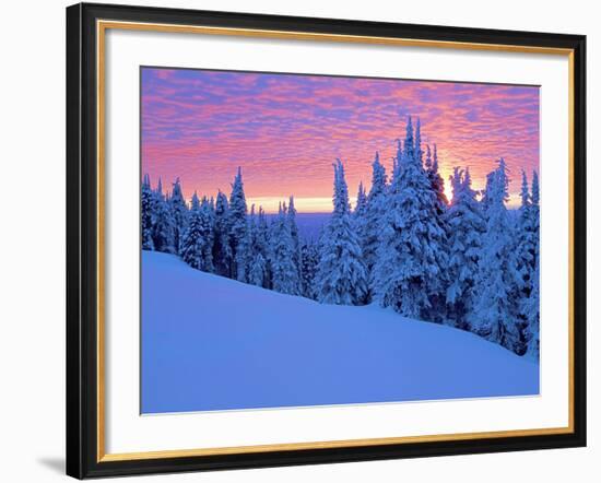 Winter Sunset, Mt Spokane State Park, Washington, USA-Charles Gurche-Framed Photographic Print