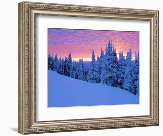 Winter Sunset, Mt Spokane State Park, Washington, USA-Charles Gurche-Framed Photographic Print