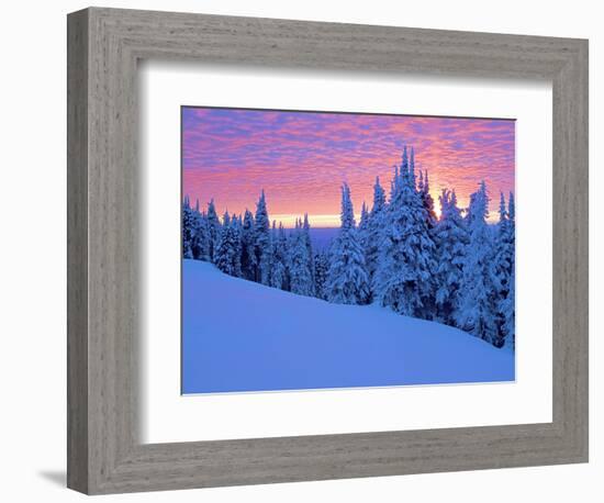 Winter Sunset, Mt Spokane State Park, Washington, USA-Charles Gurche-Framed Photographic Print