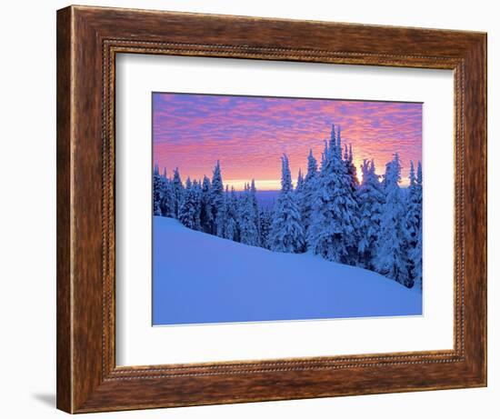 Winter Sunset, Mt Spokane State Park, Washington, USA-Charles Gurche-Framed Photographic Print