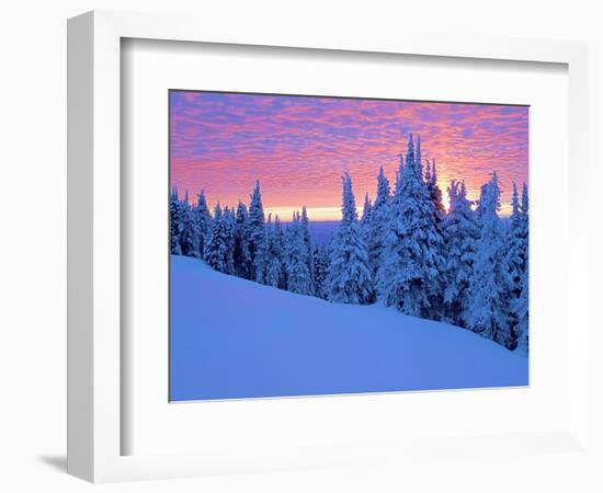 Winter Sunset, Mt Spokane State Park, Washington, USA-Charles Gurche-Framed Photographic Print