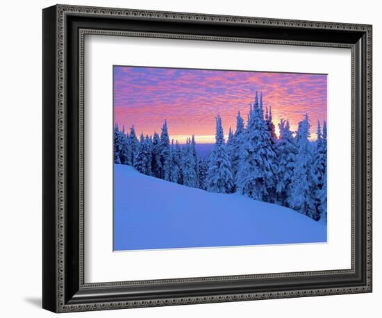 Winter Sunset, Mt Spokane State Park, Washington, USA-Charles Gurche-Framed Photographic Print