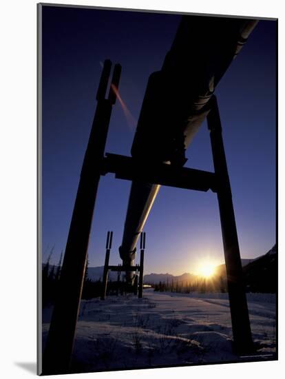 Winter Sunset on the Trans-Alaska Pipeline, Brooks Range, Alaska, USA-Hugh Rose-Mounted Photographic Print
