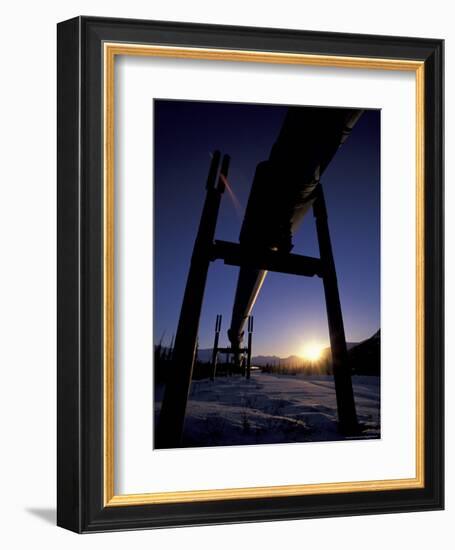 Winter Sunset on the Trans-Alaska Pipeline, Brooks Range, Alaska, USA-Hugh Rose-Framed Photographic Print