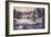 Winter Sunset-Dubravko Raos-Framed Giclee Print