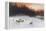 Winter Sunset-Joseph Farquharson-Framed Premier Image Canvas