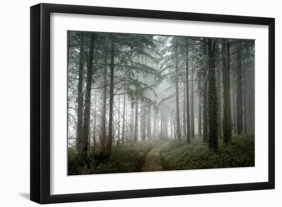 winter sweet forest-Phillipe Manguin-Framed Photographic Print