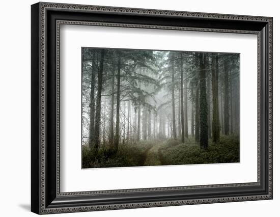 winter sweet forest-Phillipe Manguin-Framed Photographic Print