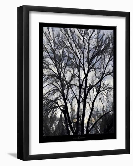 Winter Tree 2-Tim Nyberg-Framed Giclee Print