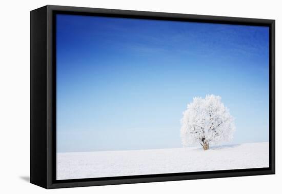 Winter Tree in a Field with Blue Sky-Dudarev Mikhail-Framed Premier Image Canvas