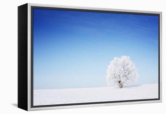 Winter Tree in a Field with Blue Sky-Dudarev Mikhail-Framed Premier Image Canvas