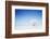 Winter Tree in a Field with Blue Sky-Dudarev Mikhail-Framed Photographic Print