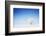 Winter Tree in a Field with Blue Sky-Dudarev Mikhail-Framed Photographic Print