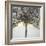 Winter Tree Lights-Caroline Ashwood-Framed Giclee Print