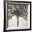 Winter Tree Lights-Caroline Ashwood-Framed Giclee Print