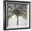 Winter Tree Lights-Caroline Ashwood-Framed Giclee Print