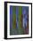 Winter Trees 2, c.1972-Isabel Alexander-Framed Giclee Print