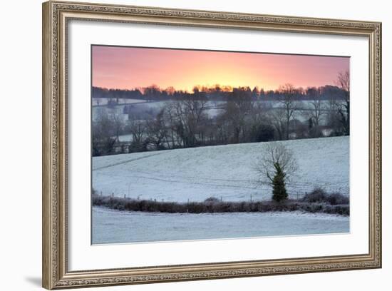 Winter Trees and Fields in Dawn Frost, Stow-On-The-Wold, Gloucestershire, Cotswolds, England, UK-Stuart Black-Framed Photographic Print