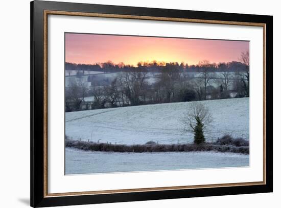 Winter Trees and Fields in Dawn Frost, Stow-On-The-Wold, Gloucestershire, Cotswolds, England, UK-Stuart Black-Framed Photographic Print