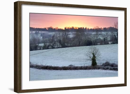 Winter Trees and Fields in Dawn Frost, Stow-On-The-Wold, Gloucestershire, Cotswolds, England, UK-Stuart Black-Framed Photographic Print