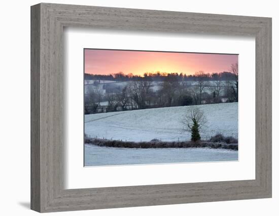 Winter Trees and Fields in Dawn Frost, Stow-On-The-Wold, Gloucestershire, Cotswolds, England, UK-Stuart Black-Framed Photographic Print