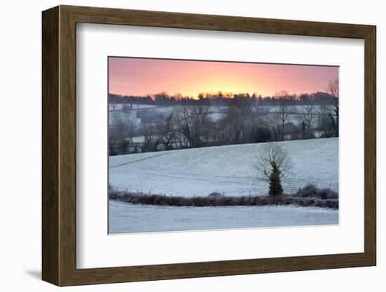 Winter Trees and Fields in Dawn Frost, Stow-On-The-Wold, Gloucestershire, Cotswolds, England, UK-Stuart Black-Framed Photographic Print