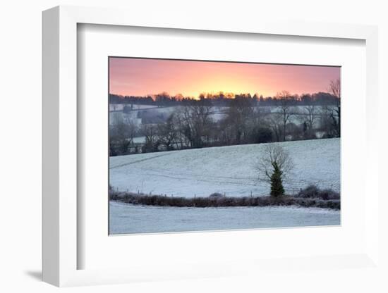 Winter Trees and Fields in Dawn Frost, Stow-On-The-Wold, Gloucestershire, Cotswolds, England, UK-Stuart Black-Framed Photographic Print