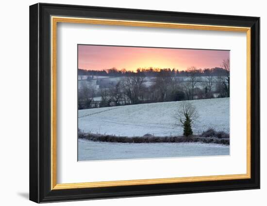 Winter Trees and Fields in Dawn Frost, Stow-On-The-Wold, Gloucestershire, Cotswolds, England, UK-Stuart Black-Framed Photographic Print