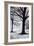 Winter Trees, Greenwich Park, 2004-Ellen Golla-Framed Giclee Print