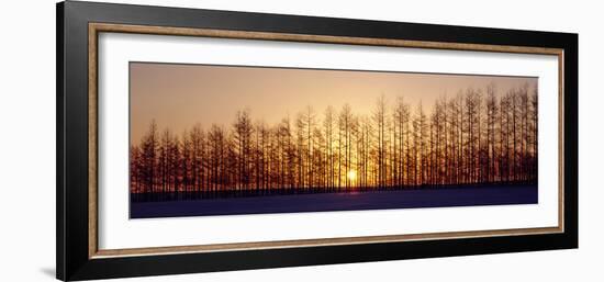 Winter Trees Hokkaido Japan-null-Framed Photographic Print