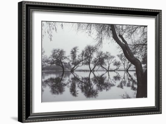 Winter Trees Reflection, Marin County California-Vincent James-Framed Photographic Print