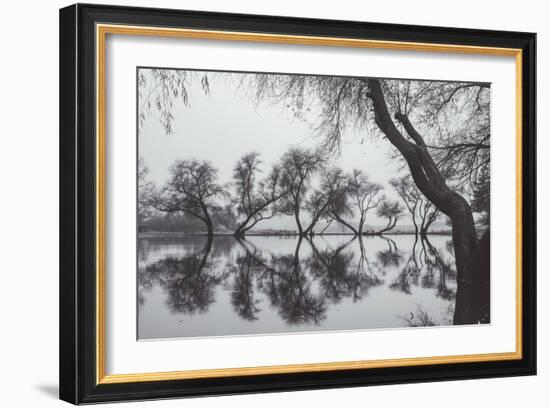 Winter Trees Reflection, Marin County California-Vincent James-Framed Photographic Print