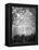 winter trees-Tracey Telik-Framed Premier Image Canvas