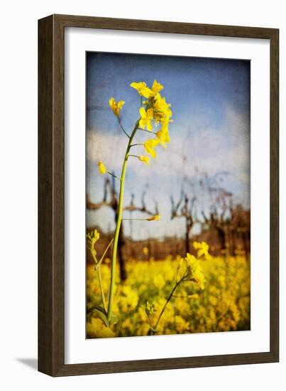 Winter Vines-Jessica Rogers-Framed Giclee Print