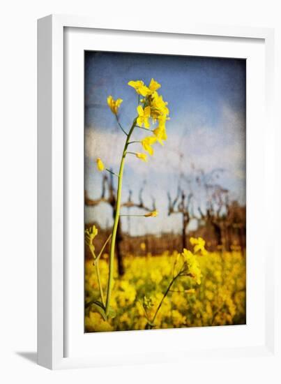 Winter Vines-Jessica Rogers-Framed Giclee Print