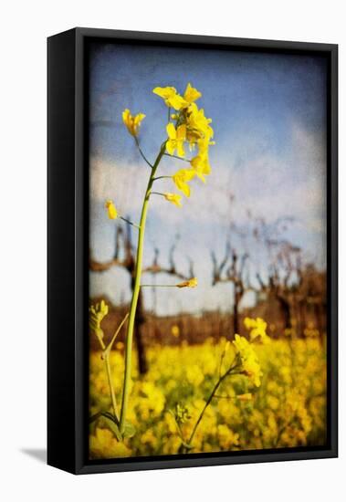 Winter Vines-Jessica Rogers-Framed Premier Image Canvas